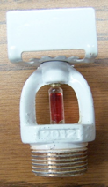 Photographs of the product with counterfeit Marks 2