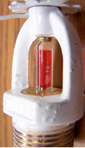 Photographs of the product with counterfeit Marks 3