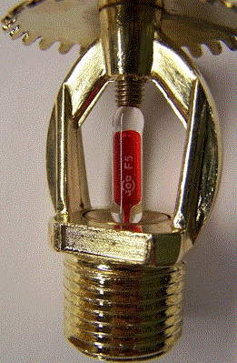 Photographs of the product with counterfeit Marks 2