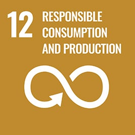 SDG #12: Responsible consumption and production