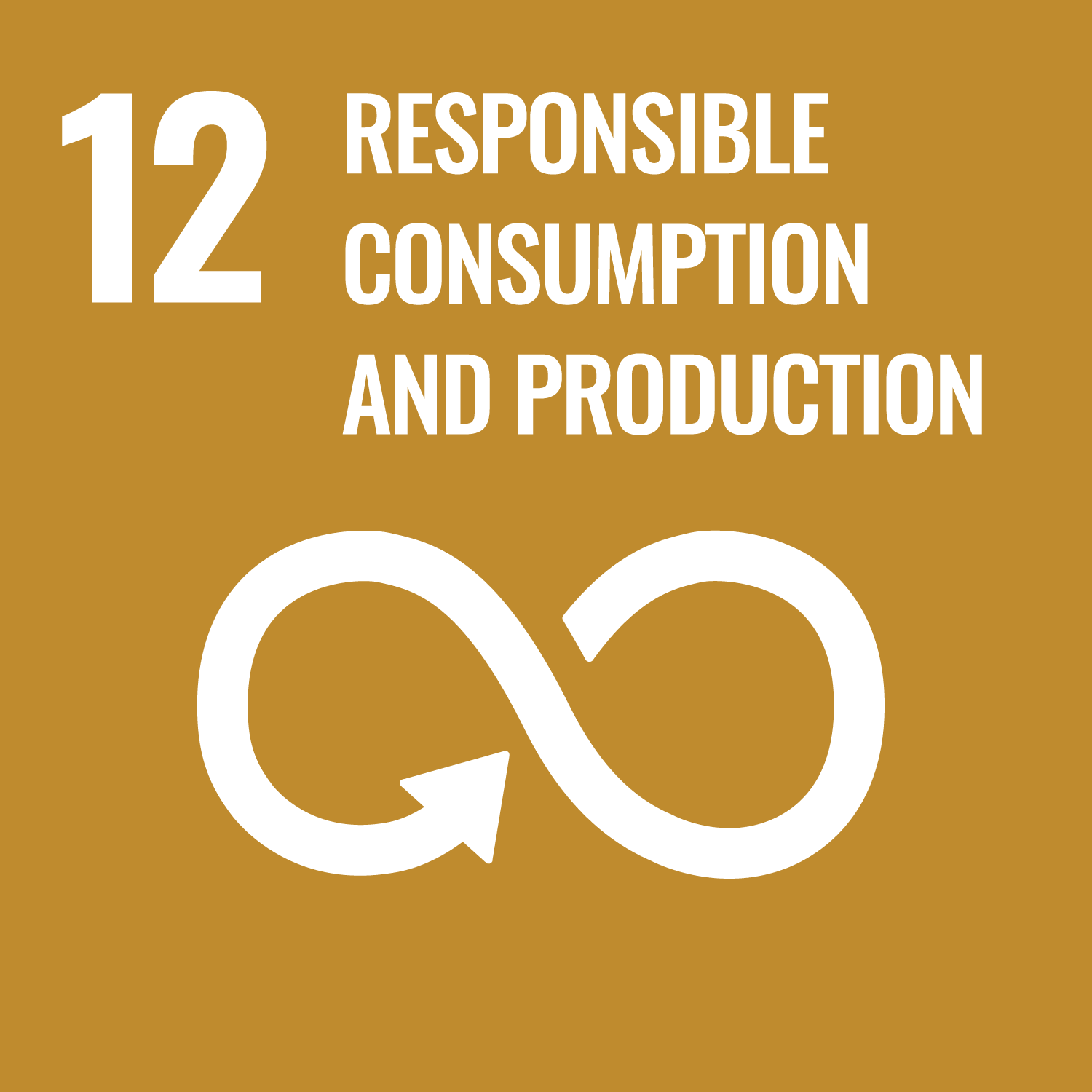UN SDG #12