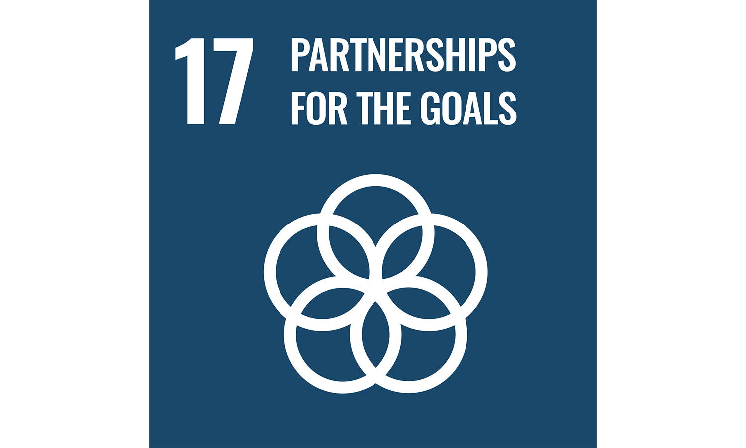 SDG Goal #17: Partnerships for the goals
