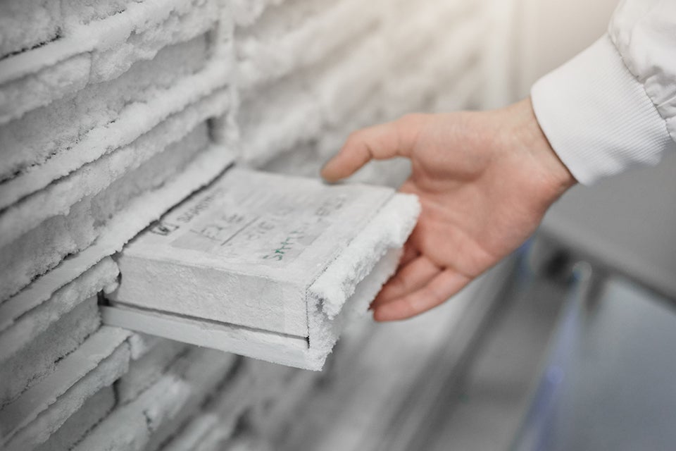 Gloved hand opening a laboratory freezer covered in ice