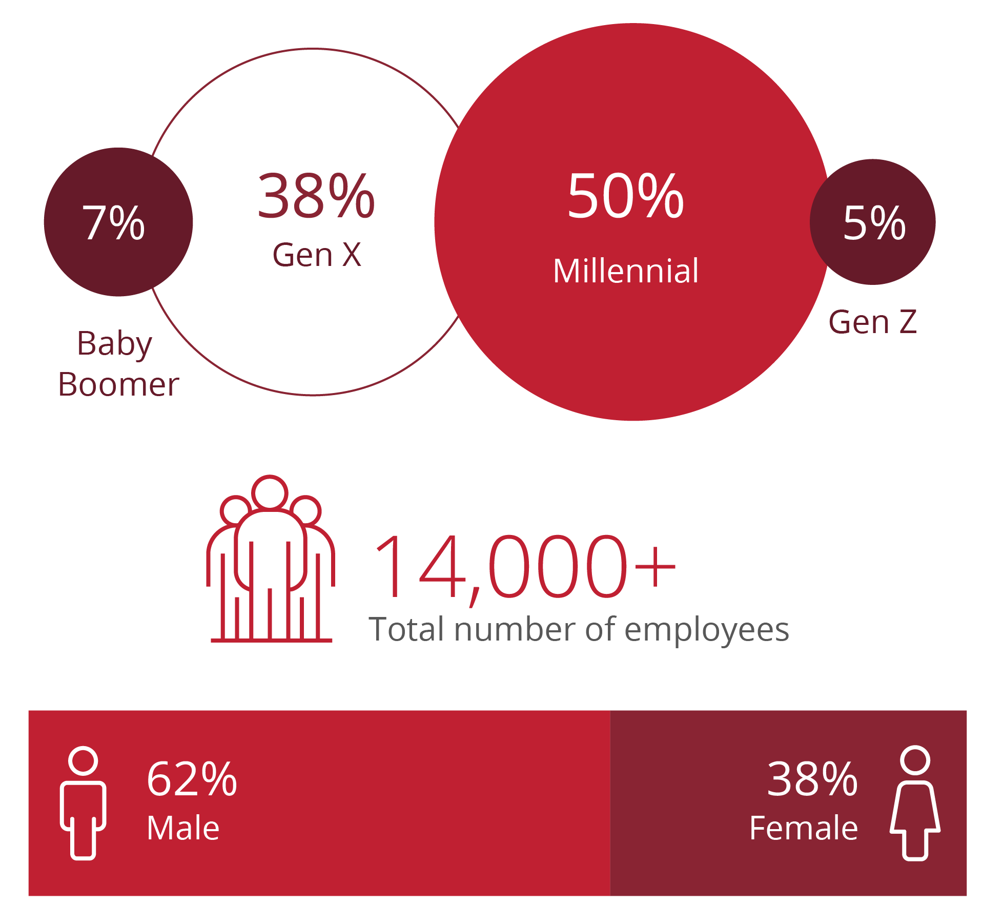 Visualization of UL's demographic makeup