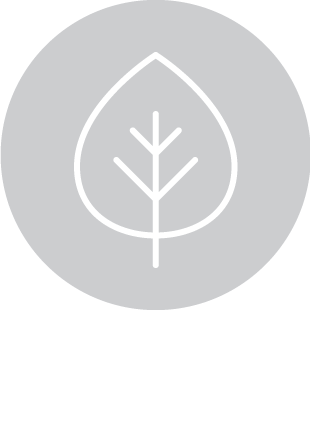 Icon for sustainability
